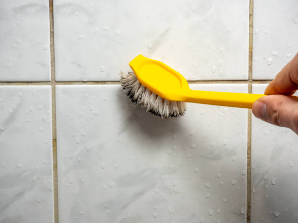 Best Preventive Mold Services in Opa Locka, FL