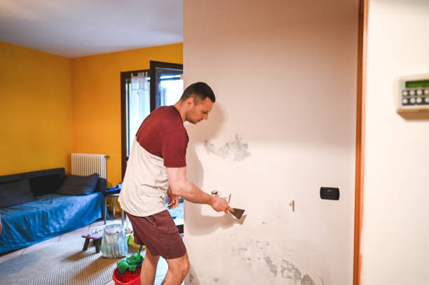 Best Basement Mold Remediation in Opa Locka, FL